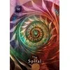 Hay House Mystical Shaman Pocket Oracle Kortos Dėžutėje
