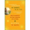 Hay House Notes From The Universe On Abundance Kortos