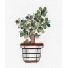 Oven Kryželiu siuvinėjimo rinkinys „Crassula“ – 18 ct kanva, 11 spalvų, pilnas