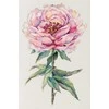 Panna Klart Kryželių siuvinėjimo rinkinys „Bijūnas“ 25,5×38,5 cm – elegancija namams