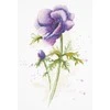 Panna Klart Kryželiu siuvinėjimo rinkinys „Anemonė“ 20×29 cm – gėlių motyvas