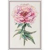 Panna Klart Kryželių siuvinėjimo rinkinys „Bijūnas“ 25,5×38,5 cm – elegancija namams