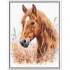 Panna Klart PANNA siuvinėjimo rinkinys kryželiu „Stepėje tarp žolių“ 26,5x33 cm