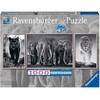 Ravensburger Dėlionė 1000 vnt. - Juodai balti gyvūnai