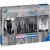 Ravensburger Dėlionė 1000 vnt. - Juodai balti gyvūnai
