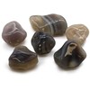 Ancient Wisdom Pilkasis Agatas - Botswana (6 Vnt. L Dydis)