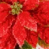 Poinsettia siuvinėjimo rinkinys iš RIOLIS Nr.: 1729