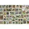 Ravensburger Dėlionė 3000 vnt. - Gyvūnų pašto ženklai