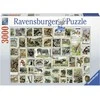 Ravensburger Dėlionė 3000 vnt. - Gyvūnų pašto ženklai
