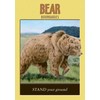 Hay House Power Animal Oracle Kortos
