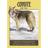 Hay House Power Animal Oracle Kortos