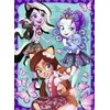 Puzzle 200 Enchantimals - RAVENSBURGER dėlionė