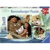 Puzzle 3 x 49 Vaianas Discovery Journey - RAVENSBURGER dėlionė