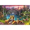 Ravensburger Dėlionė 3000 vnt. - Laukinė gamta