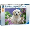 Ravensburger Dėlionė 500 vnt. - Auksaspalvis retriveris