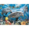 Puzzle 60 Dolphins - RAVENSBURGER dėlionė