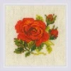 Raudona Rose siuvinėjimo rinkinys iš RIOLIS Nr.: 1843