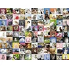 Ravensburger dėlionė „99 katės“, 1500 det.