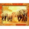 Ravensburger dėlionė "Frame Puzzle 500 African Giants"