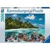 Ravensburger Dėlionė 2000 vnt. - Maldyvai