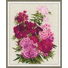 RIOLIS – Create It Yourself – Siuvinėjimo rinkinys „Saldusis Viljamas“ 1463 (24x30 cm)