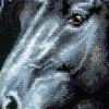 Riolis Breeze Through Mane 1494