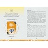 Rockpool Publishing Aboriginal Ancestral Wisdom Oracle Kortos