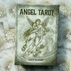 Rockpool Angel Taro Kortos