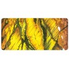 Rockpool Chakra Love Kortos
