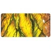 Rockpool Chakra Love Kortos