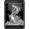 Rockpool Coven Oracle raganystės orakulo kortos – 36 kortos su knygele