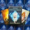 Rockpool Divine Animals Oracle Kortos
