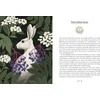 Rockpool Forsyth Kate Kate Forsyth's Hedgewitch Oracle