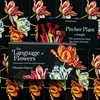 Rockpool The Language Of Flowers Inspiration Kortos