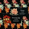Rockpool The Language Of Flowers Inspiration Kortos