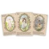 Sacred Scribe Publishing Oracle Kortų Rinkinys - Sisters of the Fae 33 Kortų Rinkinys Gidas 13x10x3.2 cm 285 g