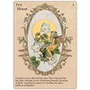 Sacred Scribe Publishing Oracle Kortų Rinkinys - Sisters of the Fae 33 Kortų Rinkinys Gidas 13x10x3.2 cm 285 g