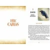Schiffer Publishing Between The Worlds Oracle Kortos