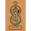Schiffer Publishing Falnama: Turkish Oracle Kortos
