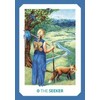 Schiffer Publishing Gaian Tarot Kortos
