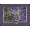 Schiffer Publishing Gaia’s Vision Oracle Kortos