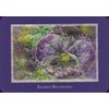 Schiffer Publishing Gaia’s Vision Oracle Kortos