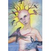 Schiffer Publishing Guardian Tarot Kortos
