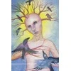 Schiffer Publishing Guardian Tarot Kortos