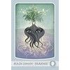 Schiffer Herbal Deck Tarot Kortos