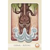 Schiffer Herbal Deck Tarot Kortos