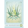 Schiffer Herbal Deck Tarot Kortos