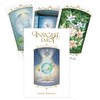 Schiffer Publishing Insight Tarot kortos