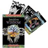 Schiffer Publishing Intuitive Wisdom Tarot Kortos Ir Knyga