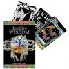Schiffer Publishing Intuitive Wisdom Tarot Kortos Ir Knyga